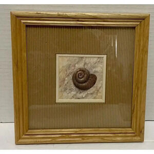 Arnie R Fisk Spiral Shell Lithograph Print 3 1/8” Square  in 8.25” Square Frame‎